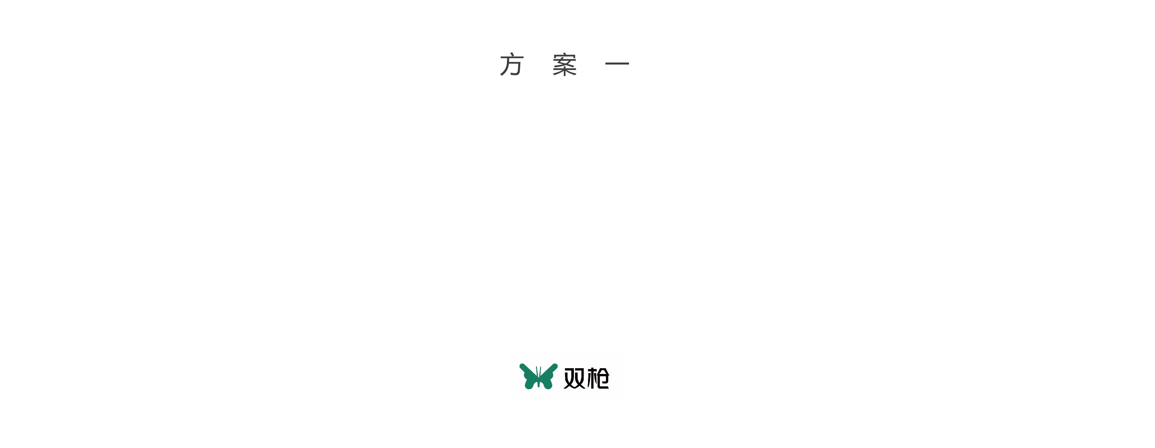 双枪 05