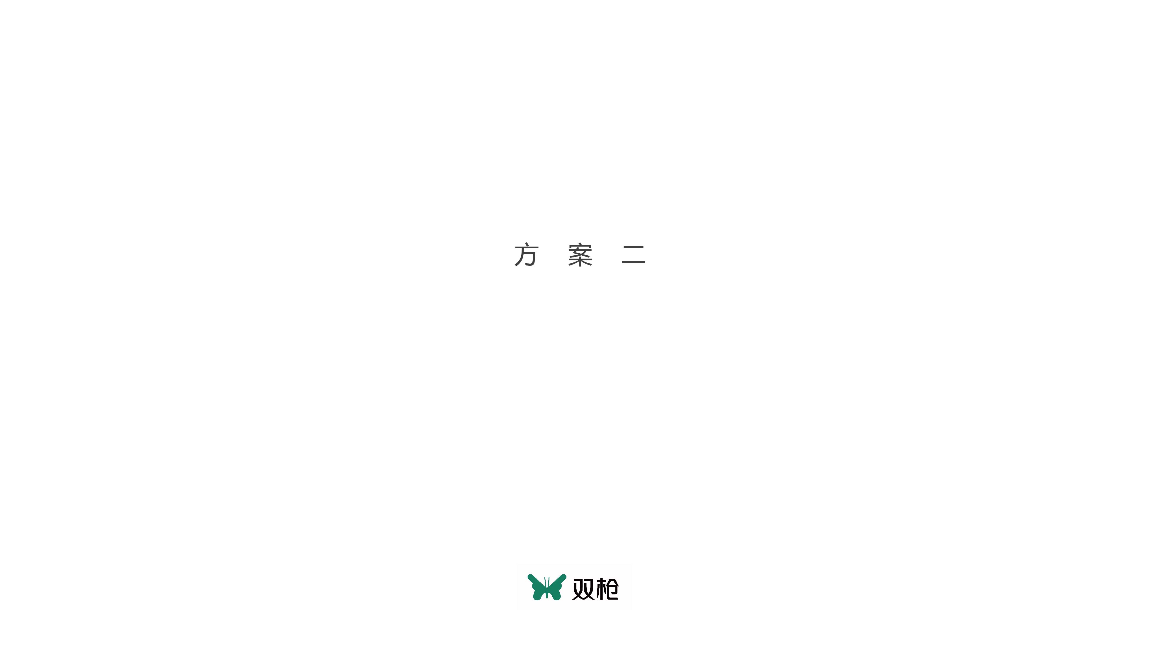 双枪 12